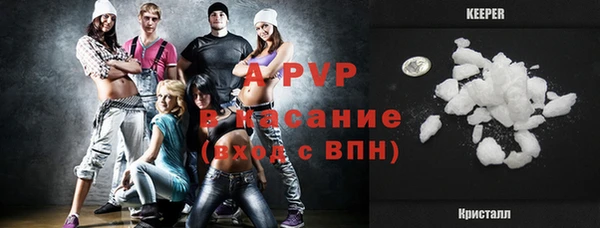 ECSTASY Богданович