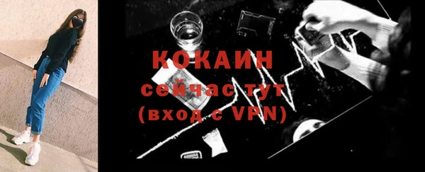 ECSTASY Богданович