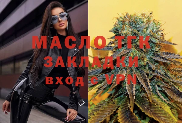 ECSTASY Богданович