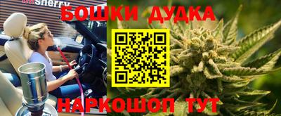 ALPHA PVP Гатчина