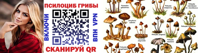 Галлюциногенные грибы Psilocybe Дагестанские Огни