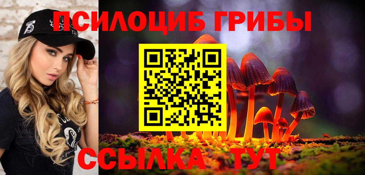 Галлюциногенные грибы мицелий  Галлюциногенные грибы мухоморы  купить наркотики сайты  Дагестанские Огни  Вход с VPN 