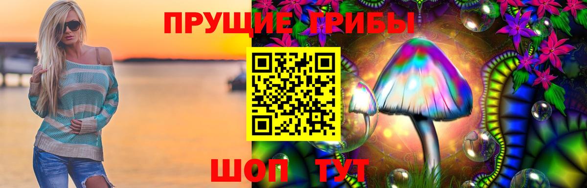 Псилоцибиновые грибы Psilocybe  Галлюциногенные грибы ЛСД  Вход с VPN  Дагестанские Огни 