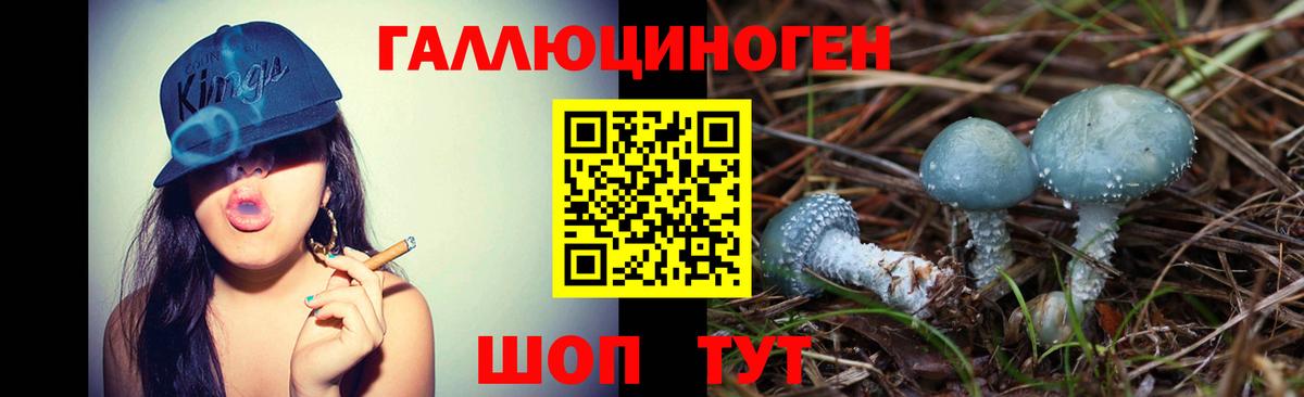 Галлюциногенные грибы прущие грибы Дагестанские Огни