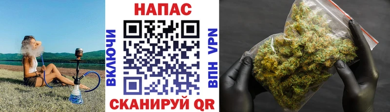 Бошки марихуана White Widow  как найти закладки  Дагестанские Огни 
