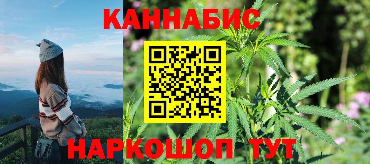 Бошки марихуана Amnesia Дагестанские Огни